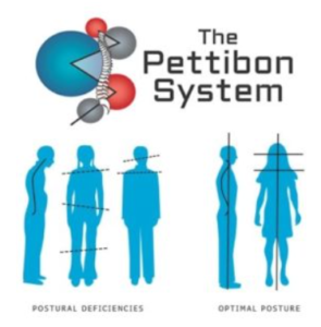 The Pettibon System
